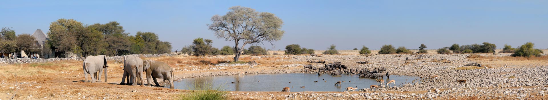 Azur Travel Azur Reisen